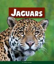 Jaguars