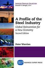 A Profile of the Steel Industry: Global Reinvention for a New Economy, Second Edition