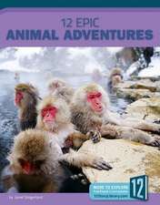 12 Epic Animal Adventures