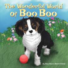 The Wonderful World Of Boo Boo