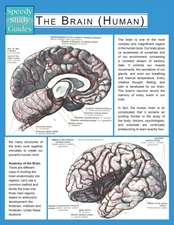 The Brain (Human) (Speedy Study Guide)