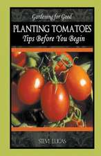 Planting Tomatoes