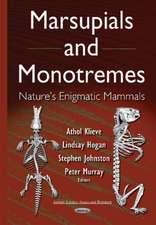 Marsupials & Monotremes: Natures Enigmatic Mammals