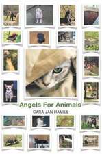 Angels for Animals