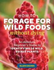 How to Forage for Wild Foods Without Dying