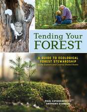 Tending Your Forest: A Guide to Ecological Forest Stewardship in the Eastern and Central United States