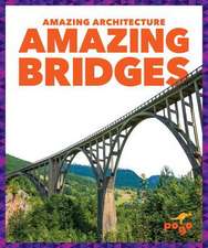 Amazing Bridges