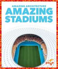 Amazing Stadiums