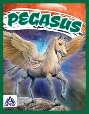 Pegasus