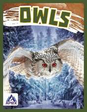 Owls