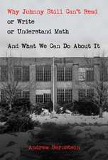 Why Johnny Still Can't Read or Write or Understand Math: And What We Can Do about It