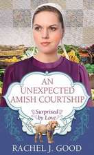 An Unexpected Amish Courtship: Surprised by Love