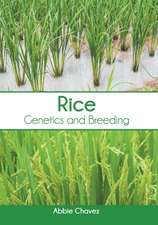 Rice: Genetics and Breeding