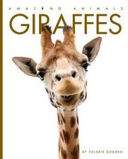 Giraffes