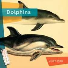 Dolphins