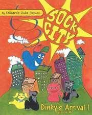 Sock City Dinky's Arrival