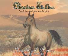 Phantom Stallion, Volume 13: Heartbreak Bronco