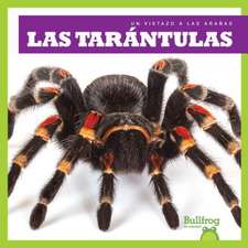 Las Tarántulas (Tarantulas)