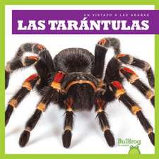 Las Tarantulas (Tarantulas)