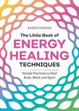 The Little Book of Energy Healing Techniques