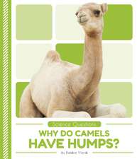 Why Do Camels Have Humps?