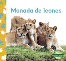 Manada de leones (Lion Pride)