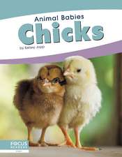 Chicks