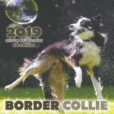 Border Collie 2019 Mini Wall Calendar (UK Edition)