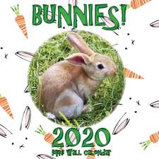 Bunnies! 2020 Mini Wall Calendar