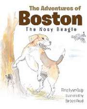 The Adventures of Boston