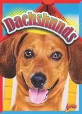 Dachshunds