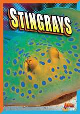 Stingrays