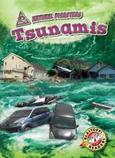 Tsunamis