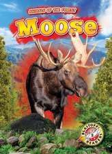 Moose