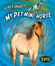 My Pet Mini Horse