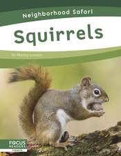 Squirrels