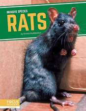 Rats