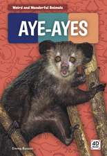 Aye-Ayes