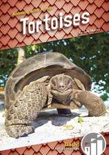 Tortoises