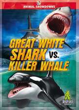 Great White Shark vs. Killer Whale