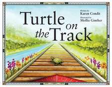 Turtle on the Track