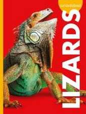 Curious about Lizards