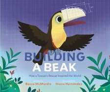 Building a Beak