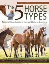 The 5 Horse Types