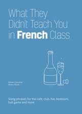 What They Didn't Teach You in French Class: Slang Phrases for the Cafe, Club, Bar, Bedroom, Ball Game and More