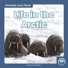 Life in the Arctic