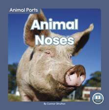 Animal Noses