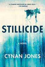 Stillicide