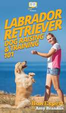 Labrador Retriever Dog Raising & Training 101