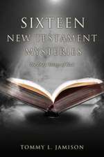 Sixteen New Testament Mysteries: The Deep things of God